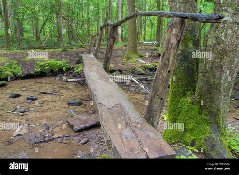 Log Crossing Stream Hi Res Stock Photography And Images Alamy