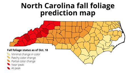 The science behind fall foliage | UNC-Chapel Hill