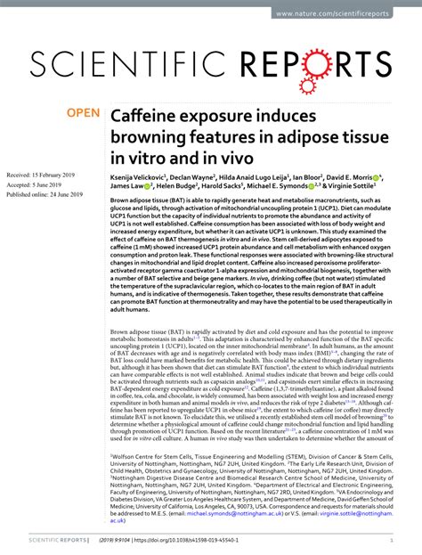 Pdf Caffeine Exposure Induces Browning Features In Adipose Tissue In