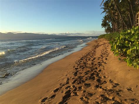 Footprints Sand Beach - Free photo on Pixabay