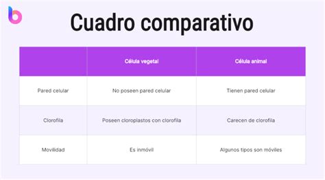 Cómo Se Clasifican Las Empresas Por Su Tamaño Y Cuáles Son Algunos Ejemplos