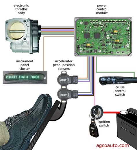 Electronic Throttle Control Diagram Throttle Stepper Gears