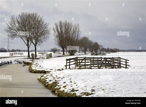 Winter Landscape In A Dutch Polder Alblasserwaard South Holland