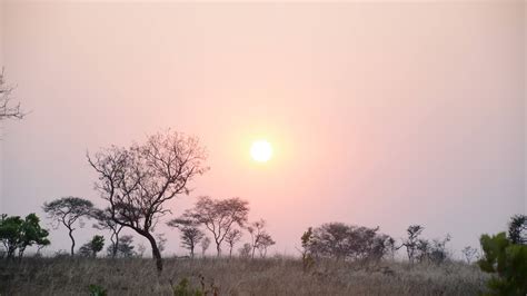 Katavi National Park