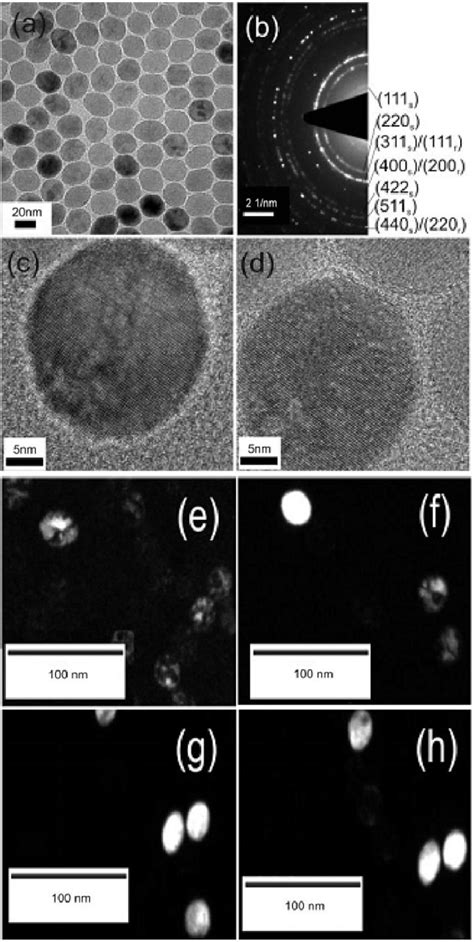 A Bright Field Tem Image Of Nps Annealed At 170 • C In Air B