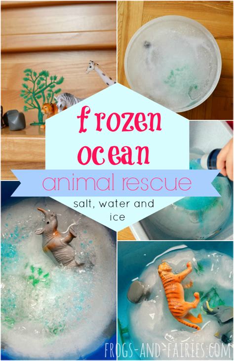 Frozen Ocean Animal Rescue - Frogs and Fairies