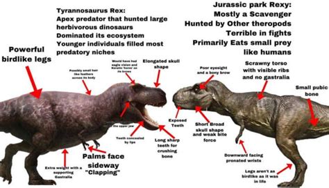 Accurate Vs Inaccurate Trex Awesomebro Know Your Meme