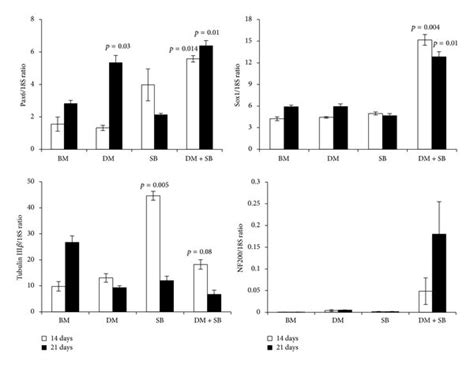 Mrna Expression Of Neuronal Markers In Hadscs Upon Dual Inhibition Of