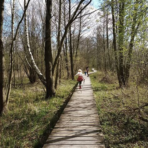 Mikrowyprawy Z Warszawy Instagram Zesz Y Wtorek K Adka Zaborowska