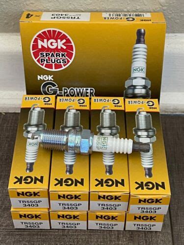 Set Of Ngk Tr Gp G Power Premium Platinum Spark Plugs Made In