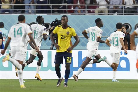 Ecuador eliminado en Qatar perdió ante Senegal La Marea