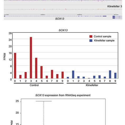 Ngs Analysis A Screenshot From Integrative Genomics Viewer Igv For Download Scientific