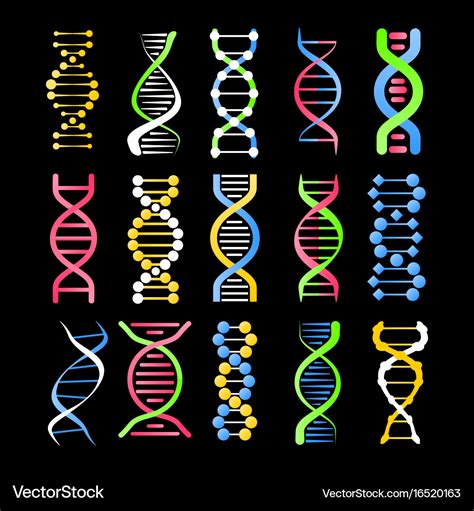 Dna Helix Symbol Of Spiral Human Gene Cell Vector Image