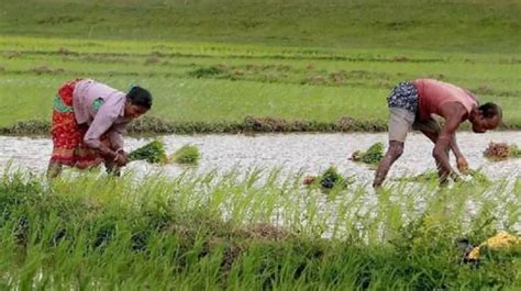 Yogi Adityanath Govt To Prepare A Database Of Farmers To Directly Provide Them Benefits India