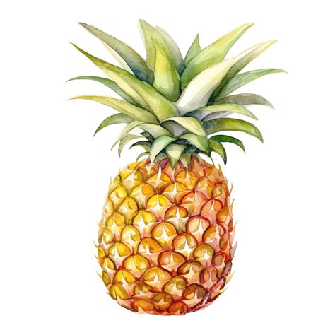 Pineapple Fruit Watercolor Ai Generatived Pineapple Pine Apple Fruit