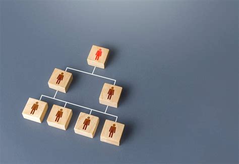 Los Tipos De Estructura Organizacional Por Isotools Cantabria Económica