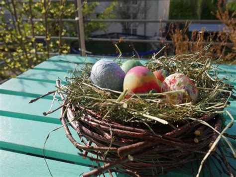 Basteln Ein Osternest Aus Naturmaterialien Koleo Umwelt Und