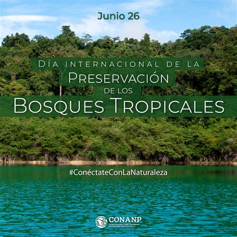 Día Internacional de la Preservación de los Bosques Tropicales