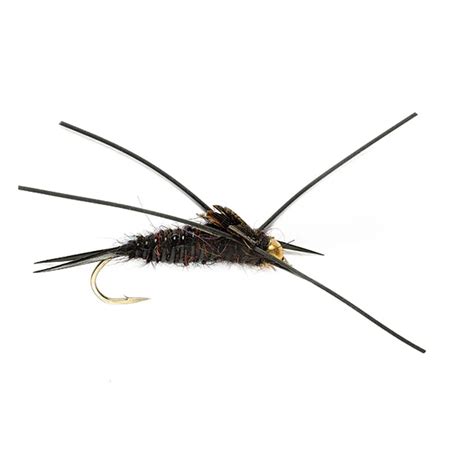 6pcs Aventik Stone Fly Black Nymph Flies Dry Trout Nymph Flies Various