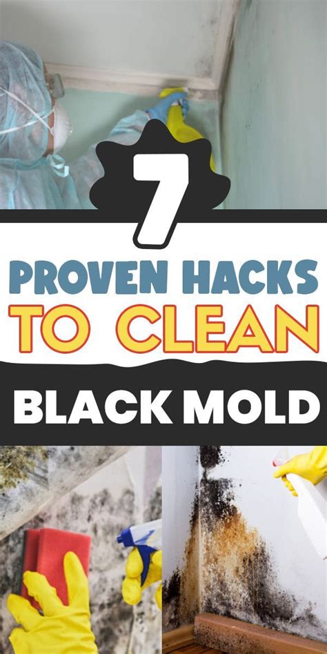 Black Mold Removal 7 Effective Hacks To Clean Black Mold In 2021