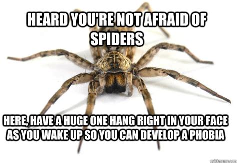 Funny Scared Of Spider Memes