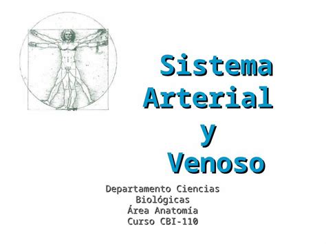 Ppt Clase Sistema Arterial Y Venoso Anatomia Dokumen Tips