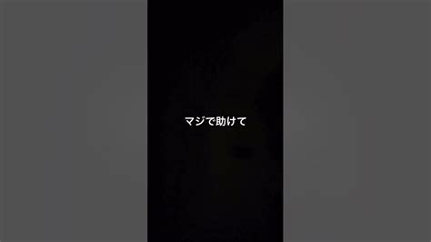 結局夜中の4時まで起きてました。shorts くや Youtube