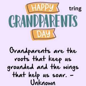 100+ Grandparents Day Quotes.