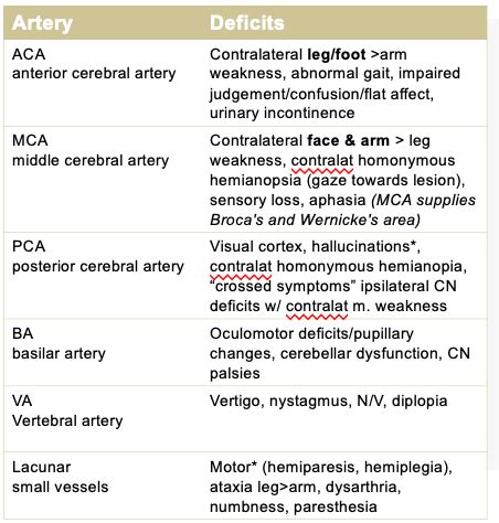 Clin Med Stroke Flashcards Quizlet