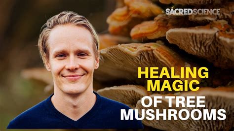 Tero Isokauppila The Healing Magic Of Tree Mushrooms Youtube