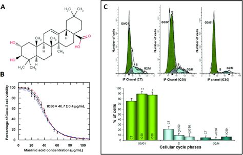 Panel A Structure Of The Natural Pentacyclic Triterpene Maslinic