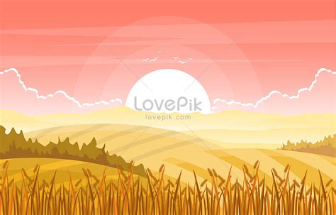 Wheat Field And Sunset Rural Nature Landscape Vector Larawan_Numero ng Ilustrasyon_Format ng ...