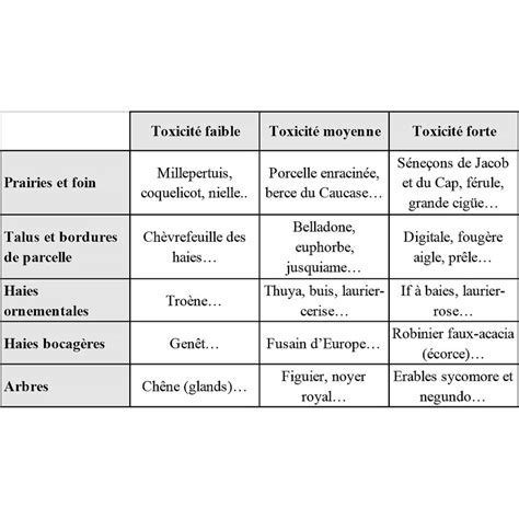 Les Plantes Toxiques Pour Le Cheval Cheval Partenaire