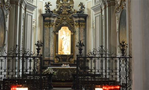 Library Of San Marco 4