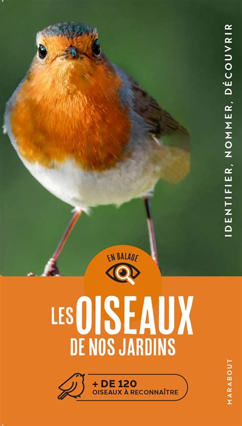 En Balade Les Oiseaux De Nos Jardins Hachette Fr