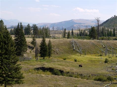 Yellowstone National Park Wyoming August 20 2013 Charlie Steins