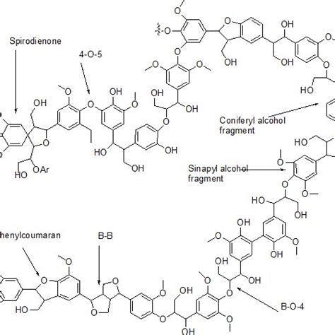 Hardwood Lignin Chemical Structure Reproduced With Permission From