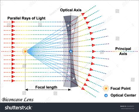 Biconcave Lens Stock Vector (Royalty Free) 434458291 | Shutterstock