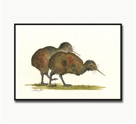 Australian Kiwi Painting Kiwi Bird Print Australian Birds - Etsy