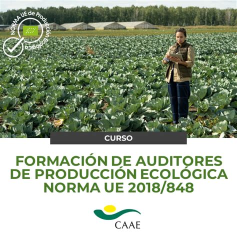 CAAE lanza la cuarta edición del curso de calificación de auditores en