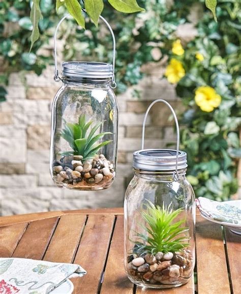 Mod Les De Terrarium Plante En Bocal Ferm Ou Ouvert Terrarium