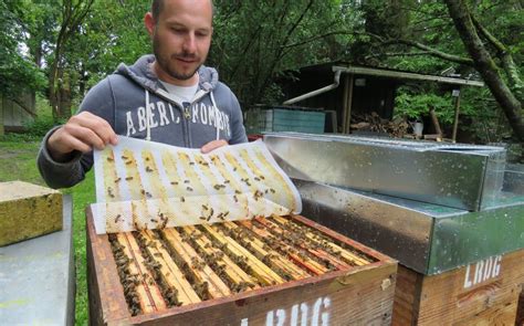 Pour Le Miel De Printemps Cest Fichu La Pluie Perturbe Aussi