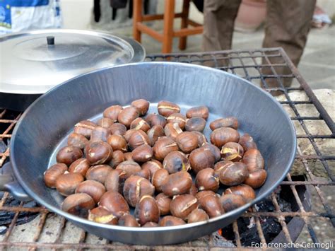 Sagre A Torino E In Piemonte Del E Ottobre Iivl