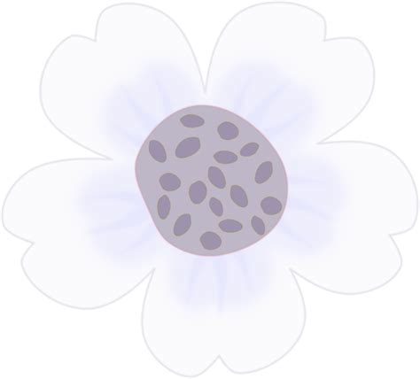 Beautiful whimsical white flower. Doodle flower illustration. 24509754 PNG