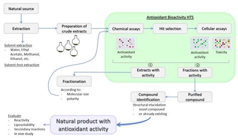 Antioxidant Activity Of Natural Products Encyclopedia Mdpi