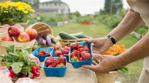 Seasonal produce to make your summer recipes shine - ABC News