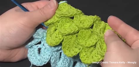 Step By Step Guide Crocodile Crochet Stitch