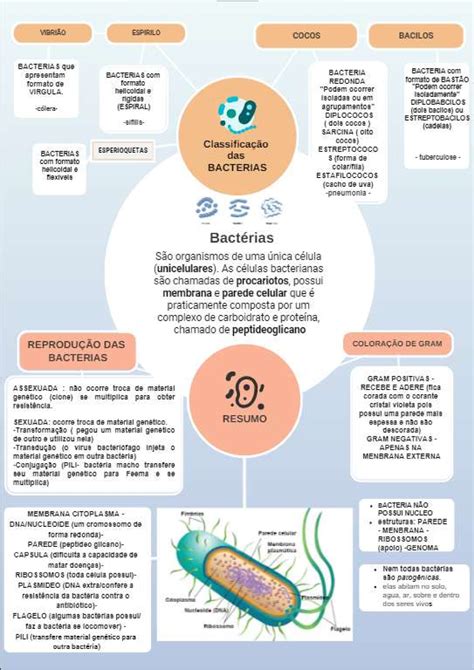 Bacteriologia Mapa Mental Porn Sex Picture