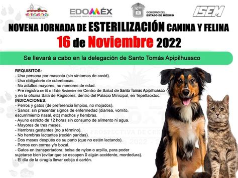 NOVENA Jornada de esterilización canina y felina Estado de México