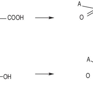 Simplified Reaction Scheme Showing Oxidation And Crosslinking Between